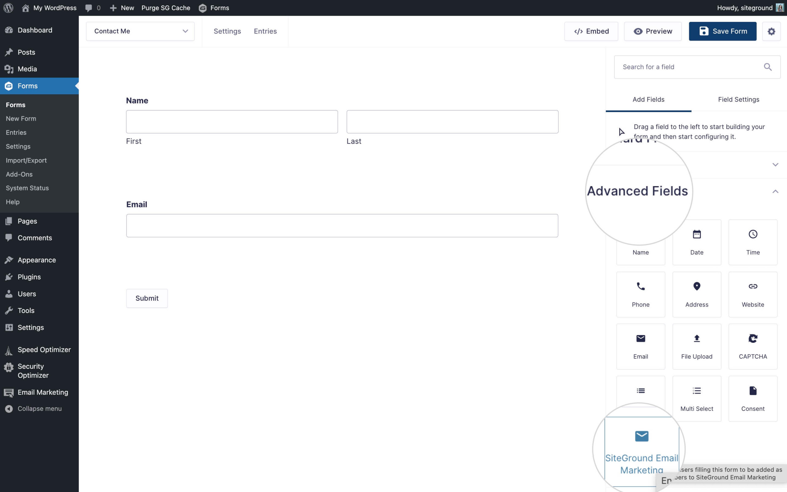 Screenshot showcasing the SiteGround Email Marketing icon within the advanced fields section of Gravity Forms.