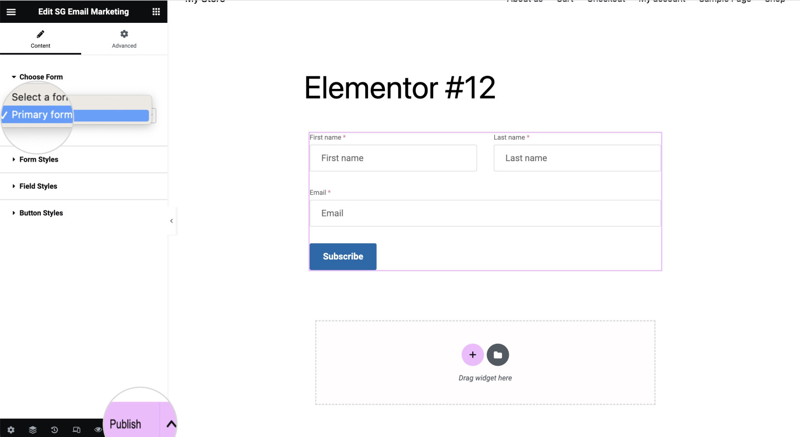 How to choose and publish custom sign-up forms on Elementor 