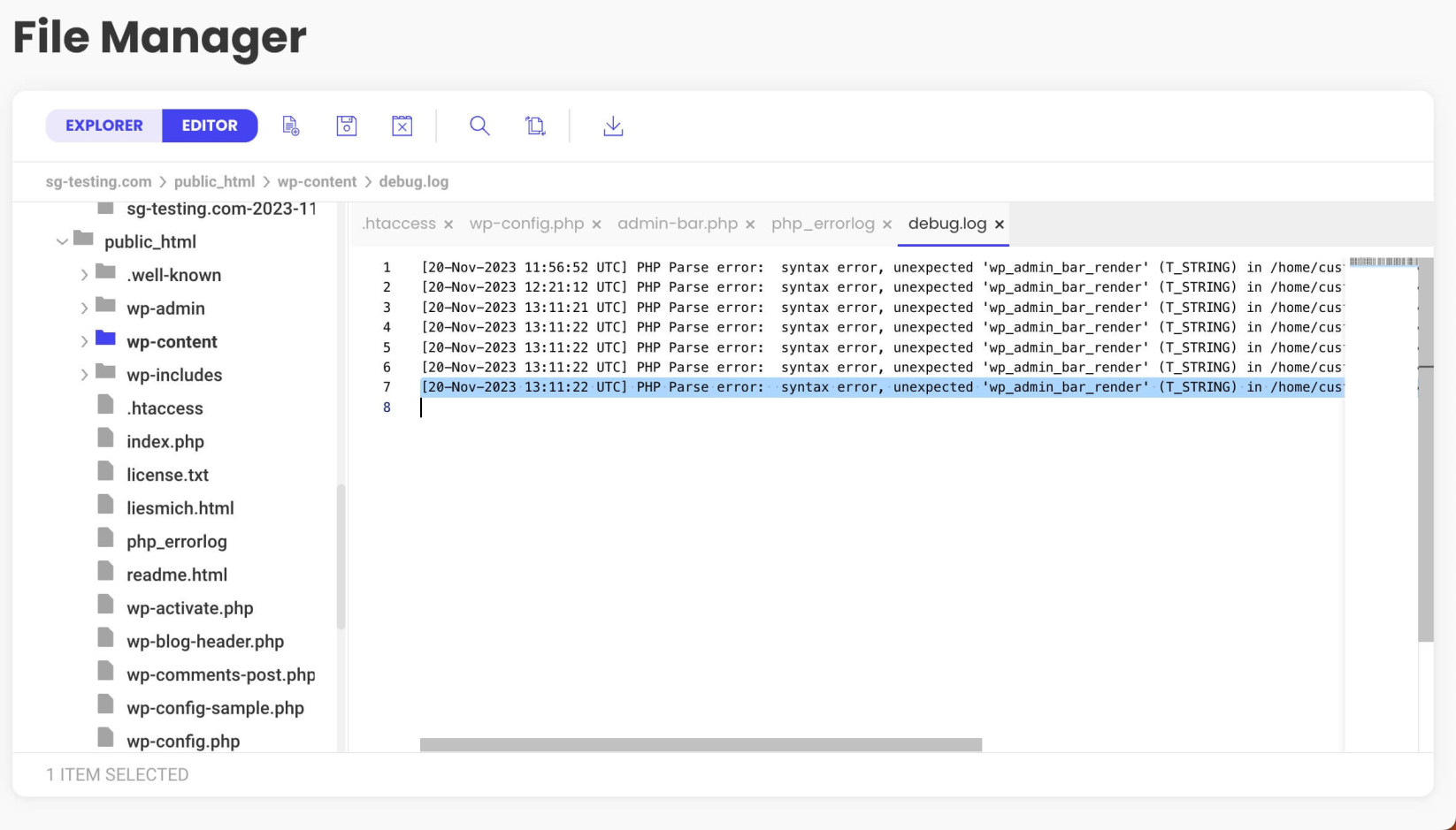 WordPress debug log file 