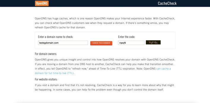 Screenshot of OpenDNS on how to flush OpenDNS cache