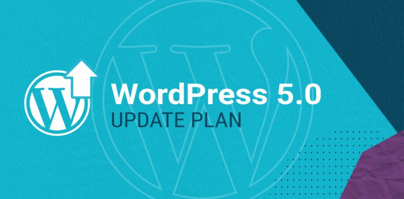 WordPress 5.0 Update Plan