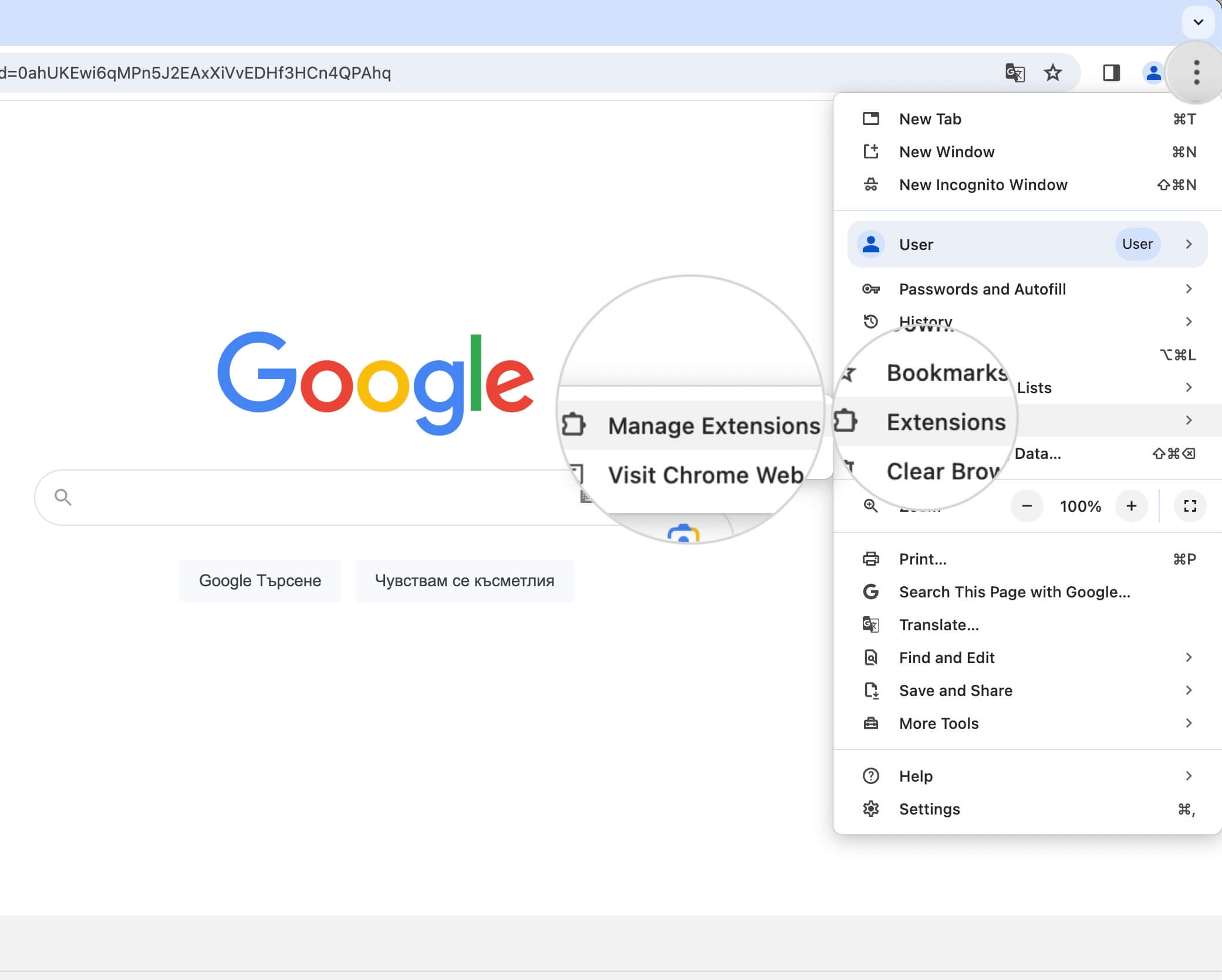 How to open the Chrome Extensions page