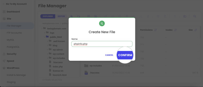 Screenshot of the File Manager pop-up for naming and confirming the creation of a phpinfo file