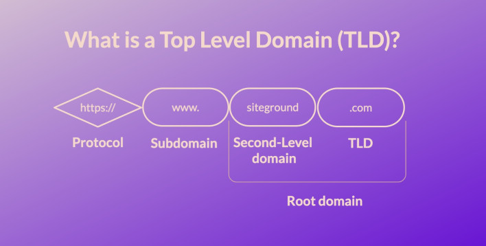 An infographic picturing what is a Top-Level Domain