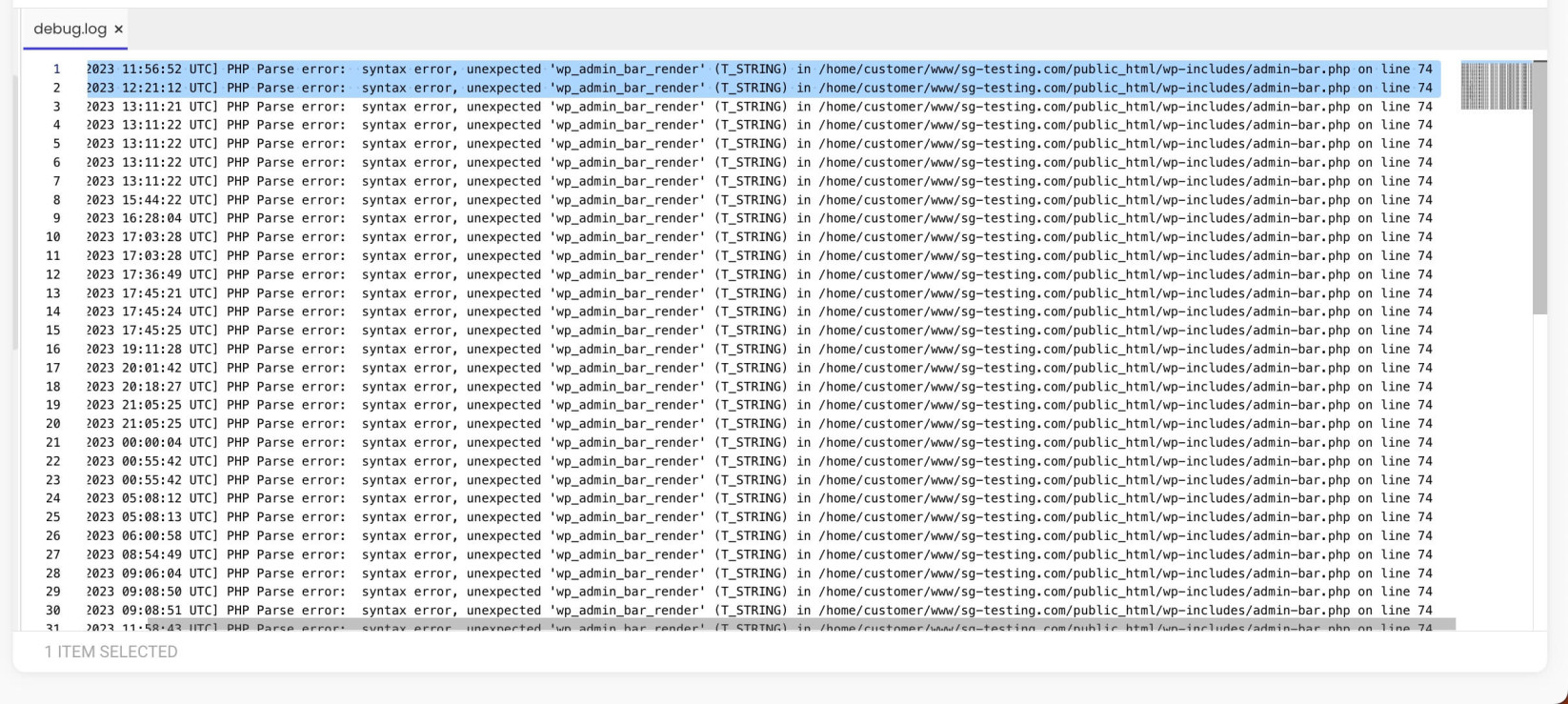 WordPress logs