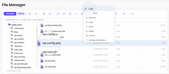 Screenshot showing how to edit the wp-config.php from your File Manager