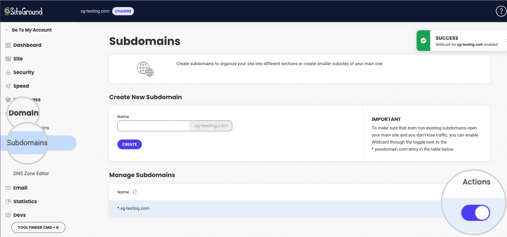 How to enable a Wildcard Subdomain for your domain