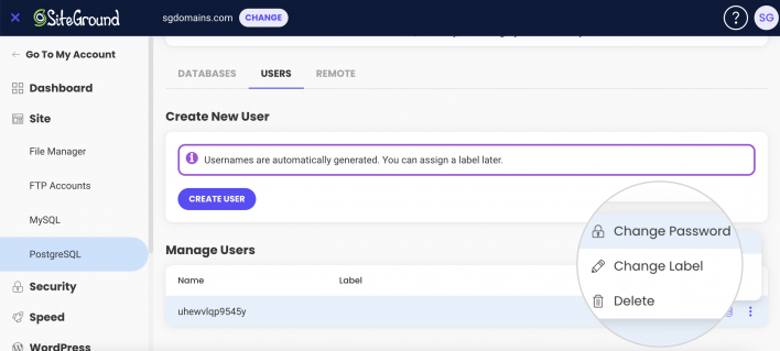 Manage PostgreSQL users