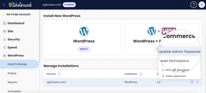 Update WP Admin password from SiteTools